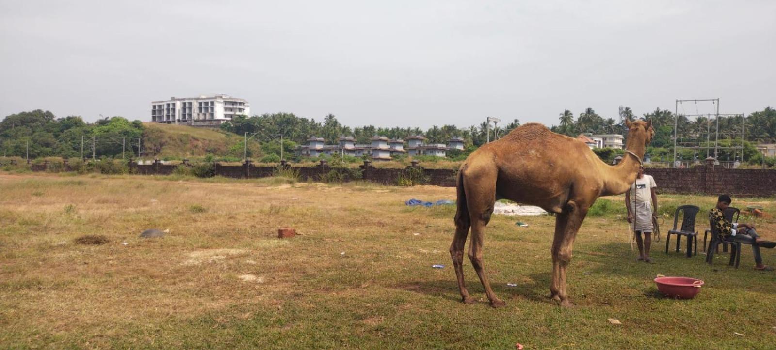 Bekal Fort Beach Resorts Bekal Town Bagian luar foto