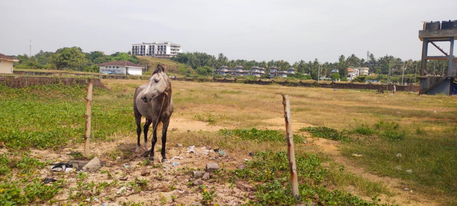 Bekal Fort Beach Resorts Bekal Town Bagian luar foto